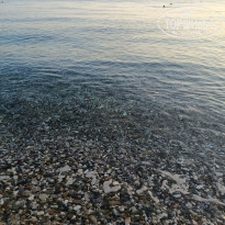 фото из отзыва ID 2738156