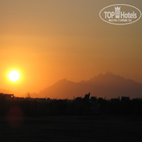 фото из отзыва ID 2738154