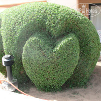 фото из отзыва ID 2738162