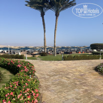 фото из отзыва ID 2738163