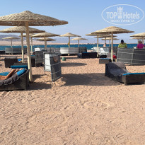 фото из отзыва ID 2738163