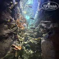 фото из отзыва ID 2738106