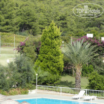 фото из отзыва ID 2738164