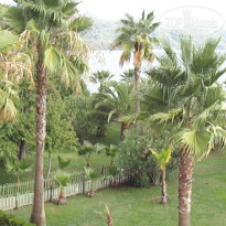 фото из отзыва ID 2738164