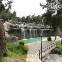 фото из отзыва ID 2738170