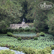 фото из отзыва ID 2738188