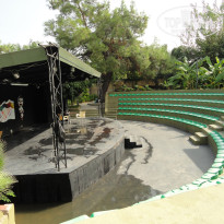 фото из отзыва ID 2738185