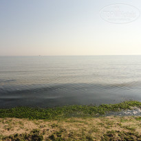 фото из отзыва ID 2738194