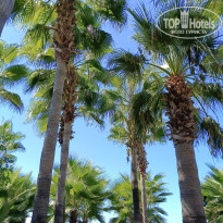 фото из отзыва ID 2738196