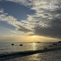 фото из отзыва ID 2738201