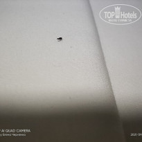 фото из отзыва ID 2738208