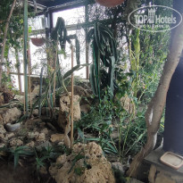 фото из отзыва ID 2738208