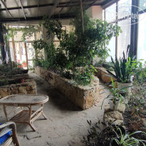 фото из отзыва ID 2738208