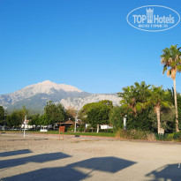 фото из отзыва ID 2738187