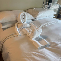 фото из отзыва ID 2738242