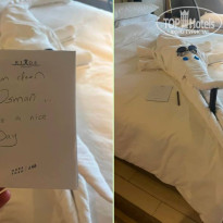 фото из отзыва ID 2738242