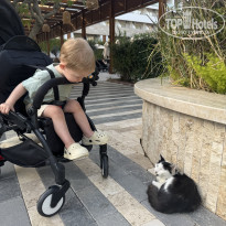 фото из отзыва ID 2738240