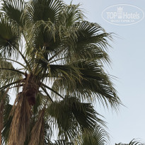 фото из отзыва ID 2738240