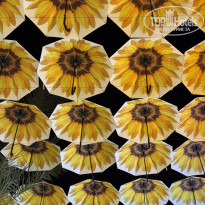 фото из отзыва ID 2738240