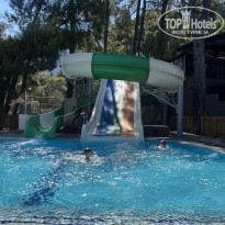 фото из отзыва ID 2738254