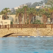 фото из отзыва ID 2738257