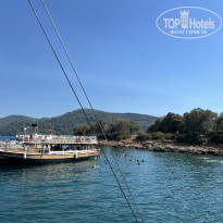 фото из отзыва ID 2738239