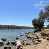 фото из отзыва ID 2738239