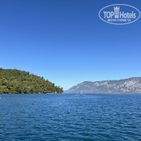 фото из отзыва ID 2738239