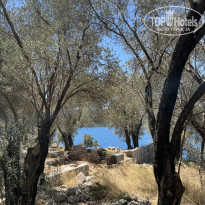 фото из отзыва ID 2738239