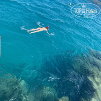 фото из отзыва ID 2738262