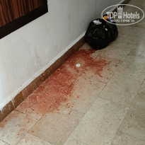 фото из отзыва ID 2738276