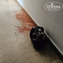 фото из отзыва ID 2738276