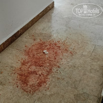 фото из отзыва ID 2738276