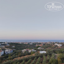 фото из отзыва ID 2738281