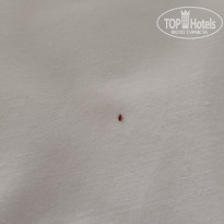 фото из отзыва ID 2738282