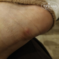 фото из отзыва ID 2738282