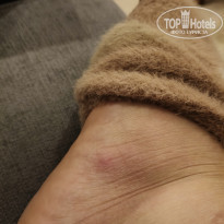 фото из отзыва ID 2738282