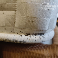 фото из отзыва ID 2738282