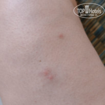 фото из отзыва ID 2738282