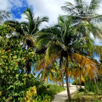 фото из отзыва ID 2738293