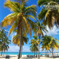 фото из отзыва ID 2738293