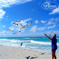 фото из отзыва ID 2738293