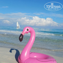 фото из отзыва ID 2738293