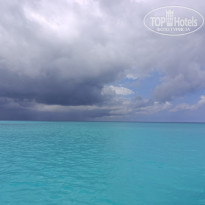 фото из отзыва ID 2738293