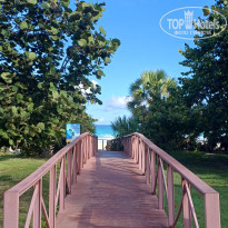 фото из отзыва ID 2738293