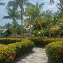 фото из отзыва ID 2738293