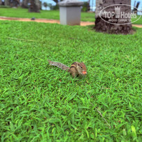 фото из отзыва ID 2738304