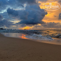 фото из отзыва ID 2738304