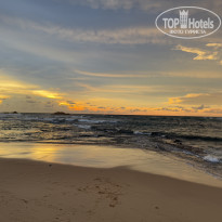 фото из отзыва ID 2738304