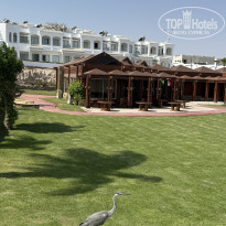 фото из отзыва ID 2738310